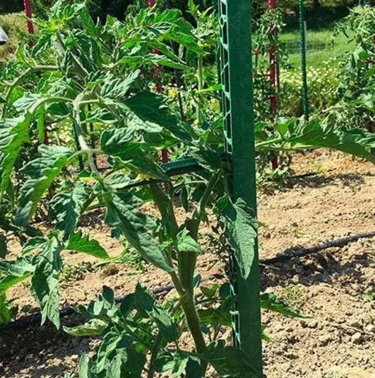 Tuteur 180cm Vert Jardin + 4 attaches