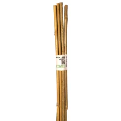 Tuteur en babou naturel H60 cm Ø6/8 mm (x10)