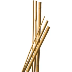 Tuteur en babou naturel H210 cm Ø16/18 mm (x3)