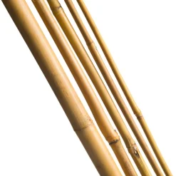 Tuteur en babou naturel H90 cm Ø8/10 mm (x7)