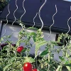 Tuteur spirale à tomates NORTENE - Vendu à l'unité