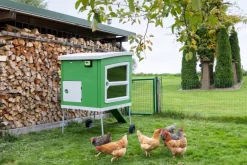 Unité de contrôle SmartCoop secteur 230V KERBL