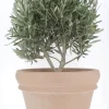 Vase Doppio Bordo terre rosée Ø52cm 50,2L DEROMA