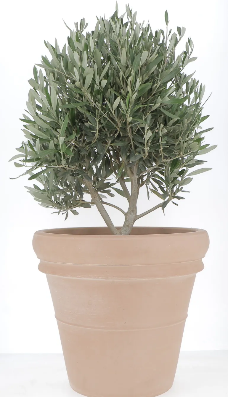 Vase Doppio Bordo terre rosée Ø52cm 50,2L DEROMA