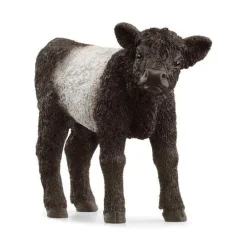 Veau Galloway 13969 SCHLEICH