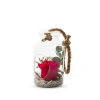 Verrine Bottle S Ø10cm- Rose rouge et eucalyptus