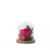 Verrine Cloche Stabilisé S Mix Rouge NATURALYS