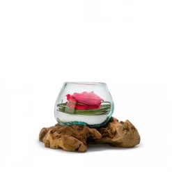 VERRINE STAB - Amazonia - Rouge NATURALYS