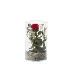 Verrine Tube S Ø15,5cm- Rose rouge et eucalyptus