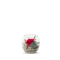 Verrine Venezia Ø8cm - Rose rouge et eucalyptus