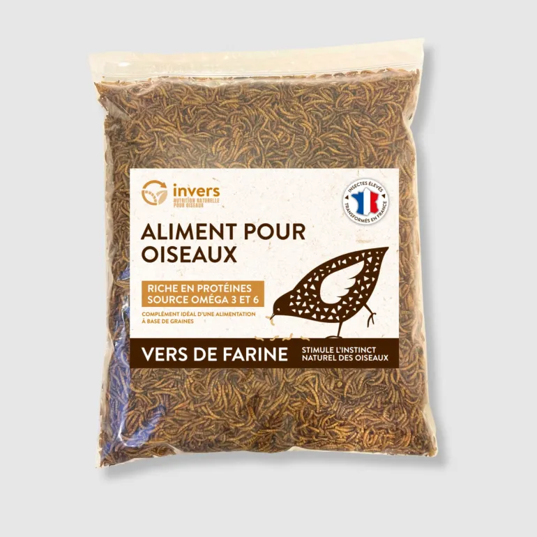 Vers de farine déshydratés 1 kg