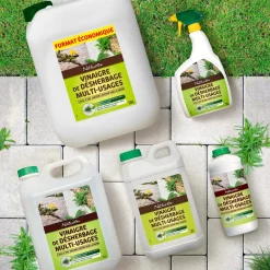 Vinaigre de désherbage multi-usages vinaigre 6% 10L NATUREN