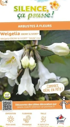 Weigelia "Ebony & Ivory" Pot 4L SILENCE ÇA POUSSE