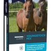 Youngstock Mix 20 kg DODSON & HORRELL