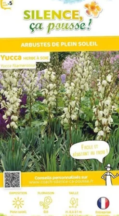 Yucca herbe à soie Pot 4.5L SILENCE ÇA POUSSE
