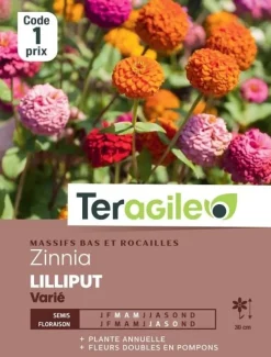Zinnia Lilliput Varié 2g TERAGILE