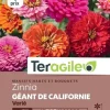 Zinnia Géant de Californie Varié 2g TERAGILE