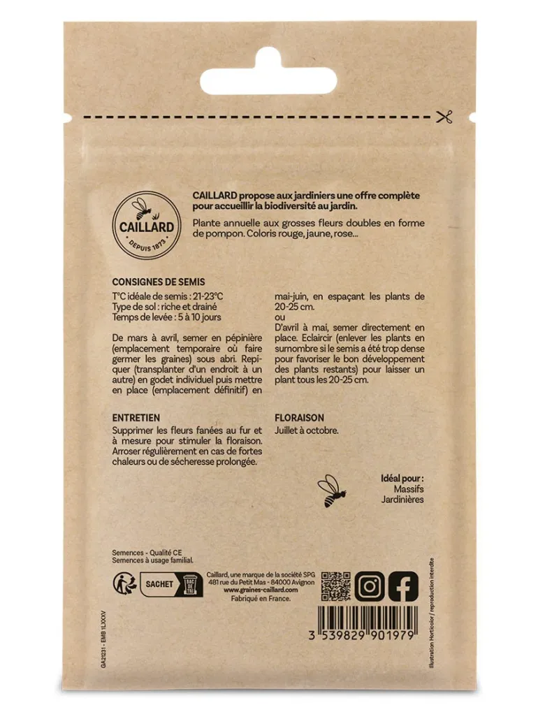 Zinnia Pépito Nain en Mélange 1g CAILLARD