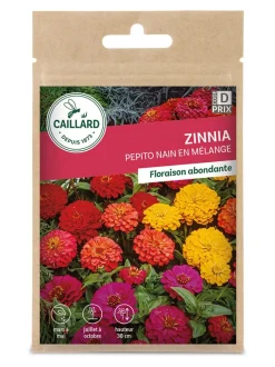 Zinnia Pépito Nain en Mélange 1g CAILLARD